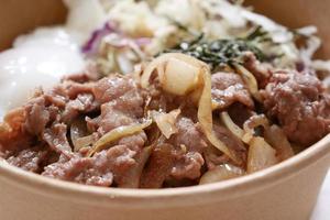 Singapur-Hähnchenfleisch und Reis auf einem Teller