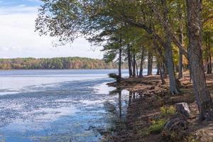 Die Küste entlang des Lake Bailey im Petit Jean State Park, Arkansas. foto