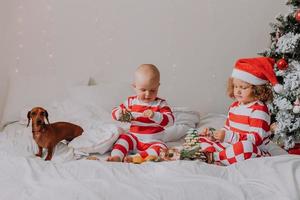 kinder in rot-weißen pyjamas sitzen im bett und teilen weihnachtssüßigkeiten miteinander und mit ihrem hund. bruder und schwester, junge und mädchen feiern das neue jahr. Platz für Text. hochwertiges Foto