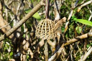 Kleiner Holzkäfig für Vögel auf einem Baum auf einem Pho-Si-Hügel vor dem Hintergrund einer Stadt. Luang Prabang, Laos. foto