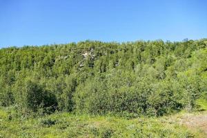 Landschaft in Schweden, Europa foto