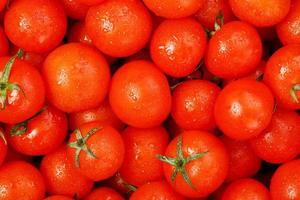frische Kirschtomaten mit grünen Blättern. Hintergrund rote Tomaten. foto