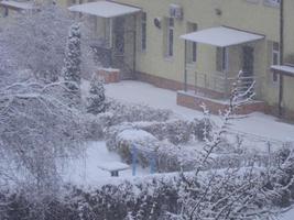 schneebedeckte Bäume in einem Schneesturm in der Stadt foto