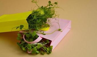 Zwei Einkaufstüten aus Papier mit Mikrogrün auf beigem Hintergrund. Frühjahrslandwirtschaft und Pflanzkonzept. natürliche Bio-Bio-Lebensmittel. foto