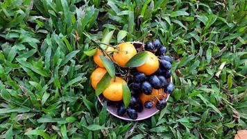 hoher winkel, zitrusfrüchte und trauben auf grünem grashintergrund. Gesundes Obst 03 foto