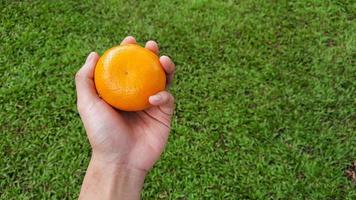 Landschaft, linke Hand hält Sunkist-Orangen auf Grashintergrund. foto