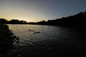 Silhouetten von Enten auf dem See bei Sonnenaufgang. foto