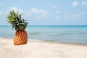 sommerliche tropische landschaft mit ananas am weißen sandstrand auf dem hintergrund des blauen meeres und des himmels. foto