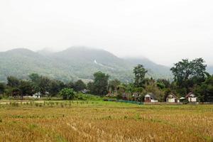 Bauernhoflandschaft mit trockenen Reisfeldern und Bergen auf einem Hintergrund bei bewölktem Wetter. pai, provinz mae hong bald, thailand. foto