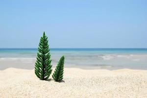 zwei weihnachtsbäume am weißen sandstrand auf dem hintergrund des blauen meeres und des himmels an einem sonnigen tag, mit kopienraum. foto