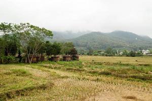 Bauernhoflandschaft mit trockenen Reisfeldern und Bergen auf einem Hintergrund bei bewölktem Wetter. pai, provinz mae hong bald, thailand. foto