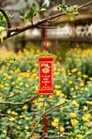 vietnamesische neujahrsdekoration auf einem verschwommenen hintergrund aus gelben blumen. Farbton, Vietnam. foto