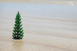 kleiner künstlicher weihnachtsbaum am weißen sandstrand auf dem hintergrund des blauen himmels, mit kopienraum. foto