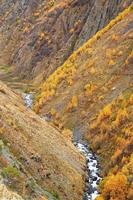 Malerischer Blick auf den Fluss im Tal zwischen Bergen mit buntem Herbstwald. Kaukasus, Georgien. foto