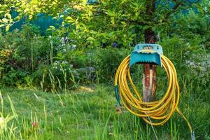 Gelber Gummi-Bewässerungsschlauch, der in einer Bucht aufgewickelt ist, die in einem grünen Garten hängt, eine Bucht mit Bewässerungsschlauch auf einem Hintergrund aus grünem Gras im Garten, verstärkter Bewässerungsschlauch foto