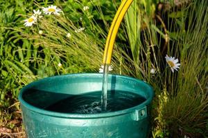 ein Eimer Wasser, der aus einem Gummischlauch in einen Eimer in einem Sommergarten fließt, ein Blumenbeet wässert, Blumen eines Landhauses, Hausarbeit in der Datscha foto