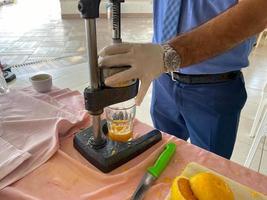 Bei der Herstellung von frisch gepresstem gelben Orangensaft drückt ein Mann in einem Hotel in einem warmen östlichen tropischen Land im südlichen Paradies mit seinen Händen Saft in ein Glas foto