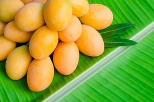 marian plum oder ma yong chid, das wie pflaume aussieht, aber wie mango auf bananenblatthintergrund schmeckt. foto