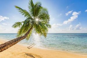 tropischer strandhintergrund als sommerlandschaft entspannen. friedliche Schaukel hängt an Palme über Sand und ruhige Meeressonnenstrahlen für Strandschablone. freiheit sorglose küste, exotischer sonniger himmel, horizont lagunenbucht