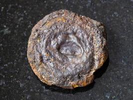 rauer Seeeisenerzmünzentyp Limonit auf Dunkelheit foto