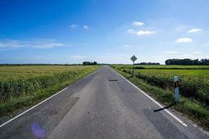 Landschaft in schweden foto