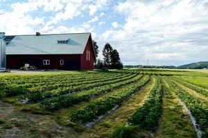 Landschaft in Schweden, Europa foto