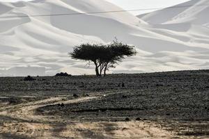 Landschaft in Marokko foto