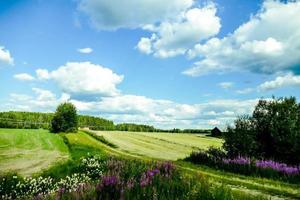 Landschaft in Schweden, Europa foto