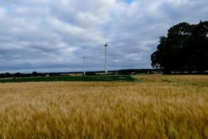 Landschaft in Schweden, Europa foto