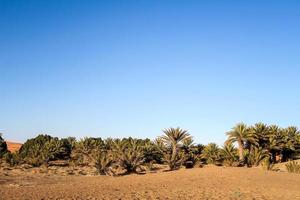 Blick auf die Wüstenlandschaft foto
