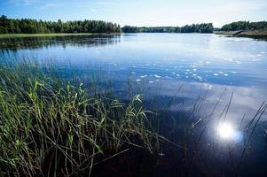 Landschaft in Schweden, Europa foto