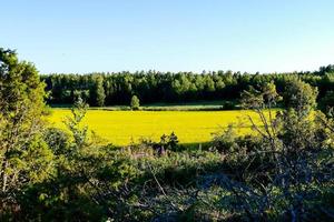 Landschaft in Schweden, Europa foto