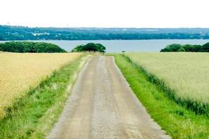 Landschaft in Schweden, Europa foto