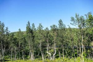 Landschaft in Schweden, Europa foto