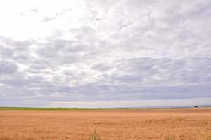 Blick auf die Sanddünen foto