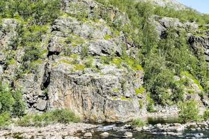 Landschaft in schweden foto