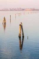 Holzpfosten im Wasser foto