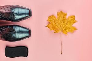 regenfeste Stiefel mit Polierschwamm und Herbstblatt foto