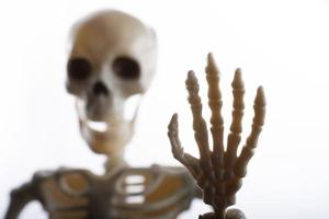 Modell des menschlichen Skeletts, das für die medizinische Anatomiewissenschaft posiert