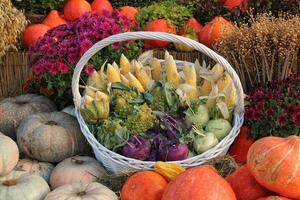 Bio-Kürbis und Gemüse im Rattankorb auf der Landwirtschaftsmesse. Ernten des Herbstzeitkonzepts. Garten Herbst natürliche Pflanze. Thanksgiving-Halloween-Dekor. festlicher bauernhof ländlicher hintergrund. veganes Essen. foto