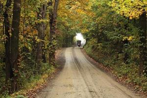 Pferd und Kutsche in der Ferne auf einem Feldweg foto