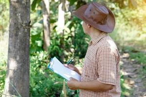 asiatischer männlicher botaniker inspiziert und zeichnet bauminformationen auf papier auf. konzept, vermessung, botanische pflanzenforschung. Wald- und Umweltschutz. foto