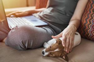 frau sitzt mit ihrem welpen jack russel terrier hund auf dem sofa und arbeitet am laptop foto