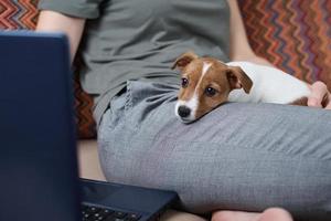 frau, die an laptop-computer und jack russel terrier-hündchen auf dem sofa arbeitet foto