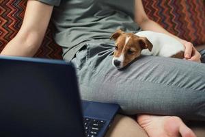 frau, die an laptop-computer und jack russel terrier-hündchen auf dem sofa arbeitet foto