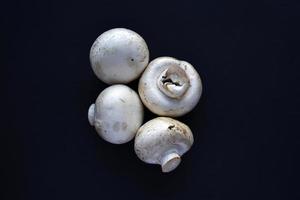 große weiße Pilze von Champignons auf schwarzem Hintergrund. schöne Steinpilze. Champignons aus nächster Nähe. foto