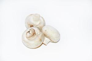 ein paar Pilze von Champignons auf weißem Hintergrund. schöne Champignons Nahaufnahme. foto