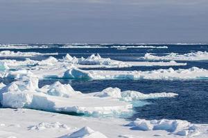 Meereis, Eisberg in der Arktis foto