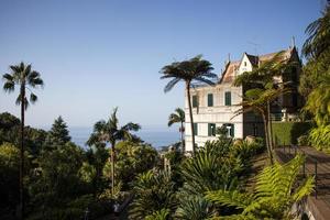 tropischer garten am monte in funchal, madeira foto