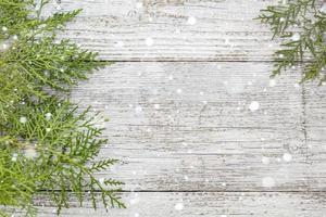 Thuja-Zweige auf Holzhintergrund mit Kopierraum foto